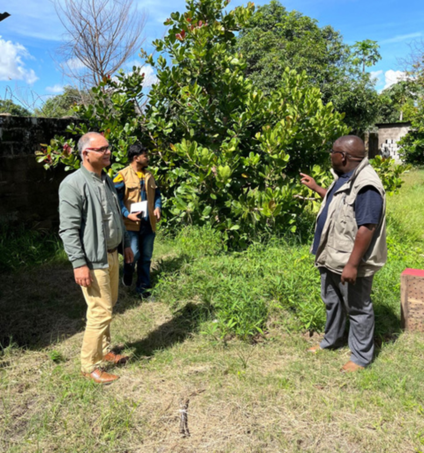 Innovation and Technology